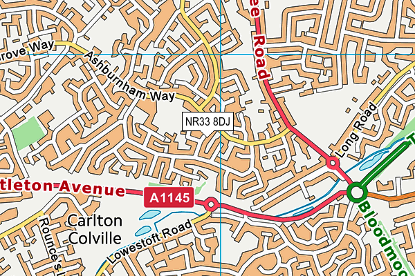 NR33 8DJ map - OS VectorMap District (Ordnance Survey) NR33 8DJ map - OS VectorMap District (Ordnance Survey)
