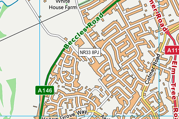 NR33 8PJ map - OS VectorMap District (Ordnance Survey) NR33 8PJ map - OS VectorMap District (Ordnance Survey)