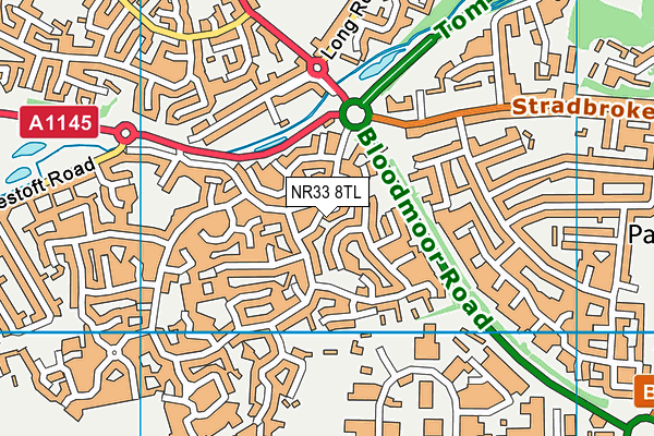 NR33 8TL map - OS VectorMap District (Ordnance Survey) NR33 8TL map - OS VectorMap District (Ordnance Survey)