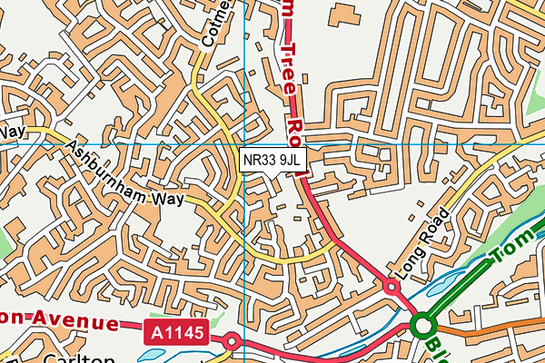NR33 9JL map - OS VectorMap District (Ordnance Survey) NR33 9JL map - OS VectorMap District (Ordnance Survey)