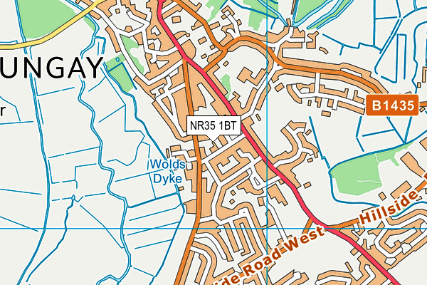 NR35 1BT map - OS VectorMap District (Ordnance Survey) NR35 1BT map - OS VectorMap District (Ordnance Survey)