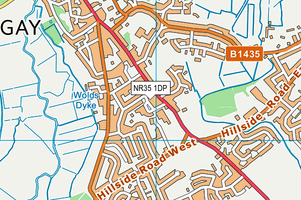 NR35 1DP map - OS VectorMap District (Ordnance Survey) NR35 1DP map - OS VectorMap District (Ordnance Survey)