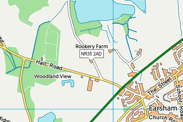 NR35 2AD map - OS VectorMap District (Ordnance Survey) NR35 2AD map - OS VectorMap District (Ordnance Survey)