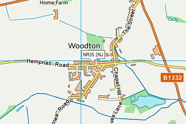 NR35 2NJ map - OS VectorMap District (Ordnance Survey) NR35 2NJ map - OS VectorMap District (Ordnance Survey)
