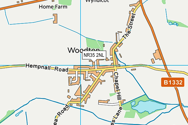 NR35 2NL map - OS VectorMap District (Ordnance Survey) NR35 2NL map - OS VectorMap District (Ordnance Survey)
