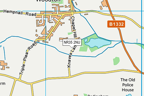 NR35 2NU map - OS VectorMap District (Ordnance Survey) NR35 2NU map - OS VectorMap District (Ordnance Survey)