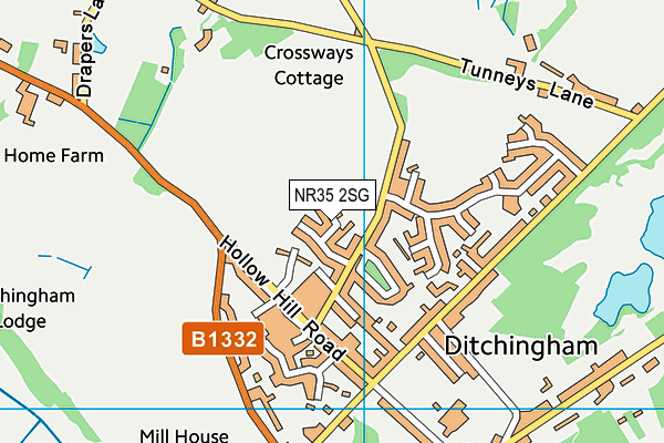 NR35 2SG map - OS VectorMap District (Ordnance Survey) NR35 2SG map - OS VectorMap District (Ordnance Survey)