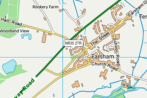 NR35 2TR map - OS VectorMap District (Ordnance Survey) NR35 2TR map - OS VectorMap District (Ordnance Survey)