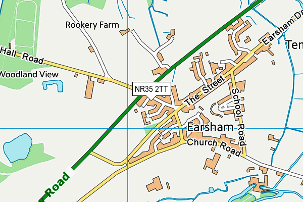 NR35 2TT map - OS VectorMap District (Ordnance Survey) NR35 2TT map - OS VectorMap District (Ordnance Survey)