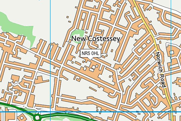NR5 0HL map - OS VectorMap District (Ordnance Survey) NR5 0HL map - OS VectorMap District (Ordnance Survey)