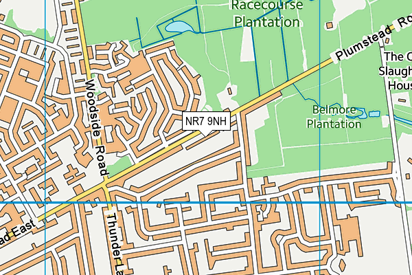 NR7 9NH map - OS VectorMap District (Ordnance Survey) NR7 9NH map - OS VectorMap District (Ordnance Survey)