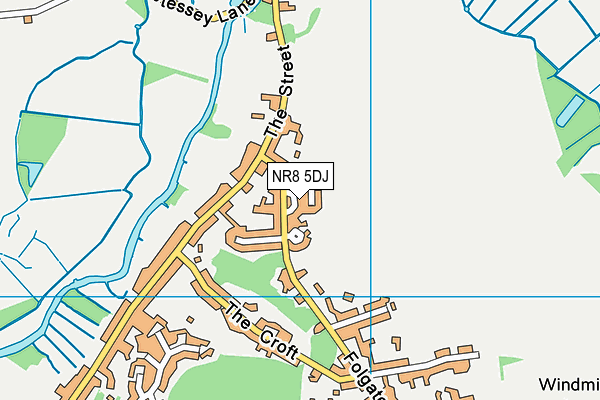 NR8 5DJ map - OS VectorMap District (Ordnance Survey) NR8 5DJ map - OS VectorMap District (Ordnance Survey)
