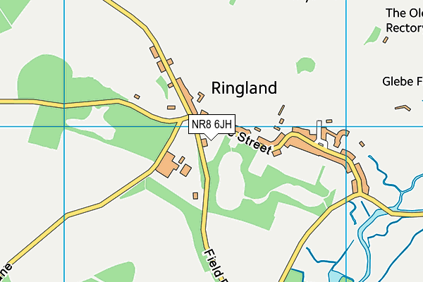 NR8 6JH map - OS VectorMap District (Ordnance Survey) NR8 6JH map - OS VectorMap District (Ordnance Survey)