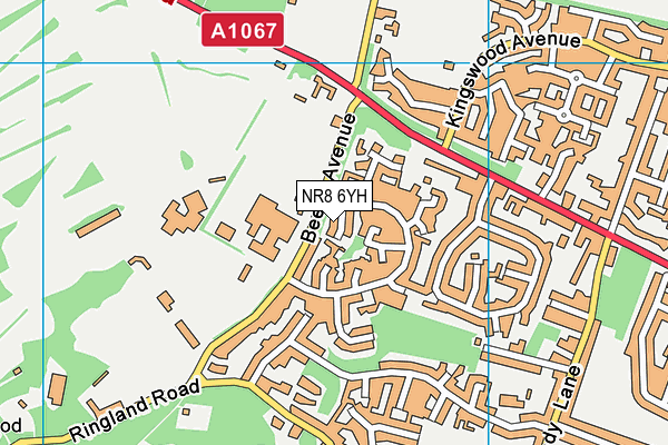 NR8 6YH map - OS VectorMap District (Ordnance Survey)