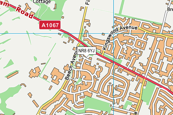 NR8 6YJ map - OS VectorMap District (Ordnance Survey)