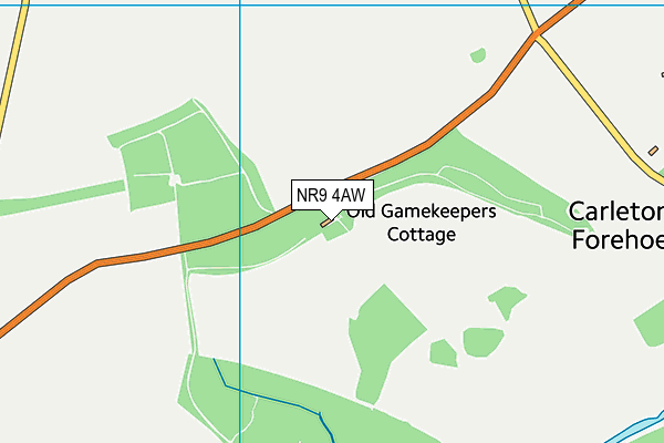 NR9 4AW map - OS VectorMap District (Ordnance Survey) NR9 4AW map - OS VectorMap District (Ordnance Survey)