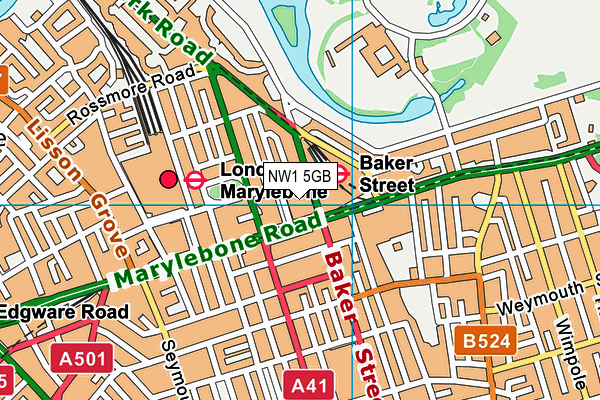 NW1 5GB map - OS VectorMap District (Ordnance Survey)
