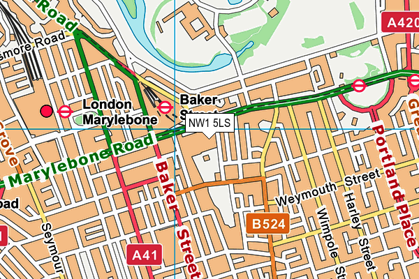 NW1 5LS map - OS VectorMap District (Ordnance Survey) NW1 5LS map - OS VectorMap District (Ordnance Survey)