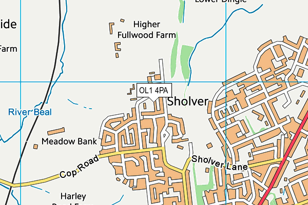 OL1 4PA map - OS VectorMap District (Ordnance Survey) OL1 4PA map - OS VectorMap District (Ordnance Survey)