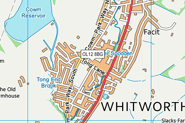 OL12 8BG map - OS VectorMap District (Ordnance Survey) OL12 8BG map - OS VectorMap District (Ordnance Survey)