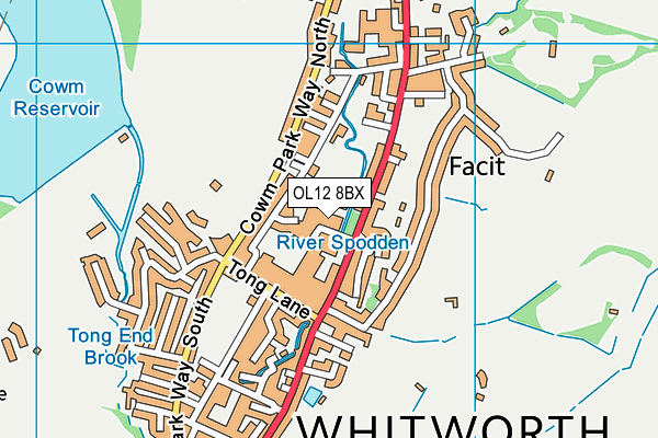 OL12 8BX map - OS VectorMap District (Ordnance Survey) OL12 8BX map - OS VectorMap District (Ordnance Survey)