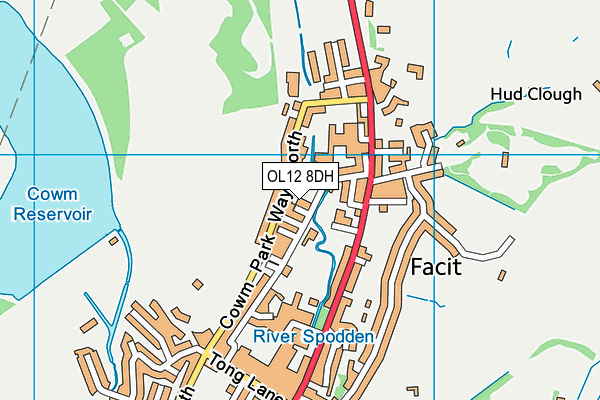 OL12 8DH map - OS VectorMap District (Ordnance Survey) OL12 8DH map - OS VectorMap District (Ordnance Survey)