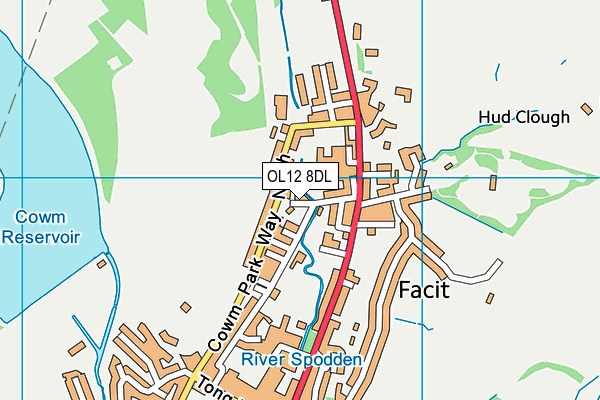 OL12 8DL map - OS VectorMap District (Ordnance Survey) OL12 8DL map - OS VectorMap District (Ordnance Survey)