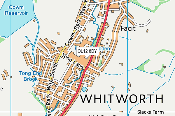 OL12 8DY map - OS VectorMap District (Ordnance Survey) OL12 8DY map - OS VectorMap District (Ordnance Survey)