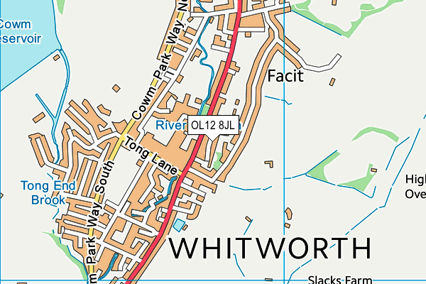 OL12 8JL map - OS VectorMap District (Ordnance Survey) OL12 8JL map - OS VectorMap District (Ordnance Survey)