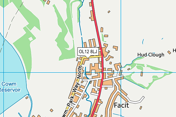 OL12 8LJ map - OS VectorMap District (Ordnance Survey)