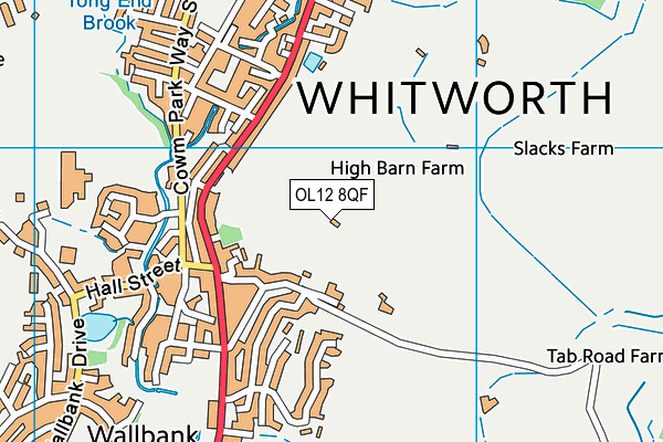 OL12 8QF map - OS VectorMap District (Ordnance Survey) OL12 8QF map - OS VectorMap District (Ordnance Survey)