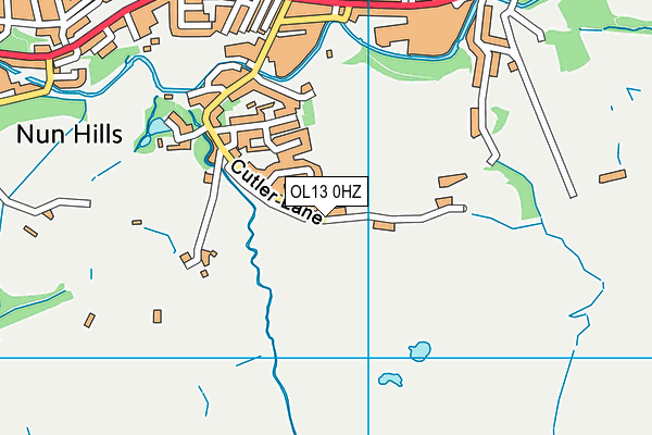 OL13 0HZ map - OS VectorMap District (Ordnance Survey) OL13 0HZ map - OS VectorMap District (Ordnance Survey)