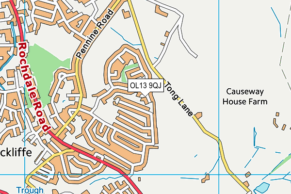 OL13 9QJ map - OS VectorMap District (Ordnance Survey) OL13 9QJ map - OS VectorMap District (Ordnance Survey)