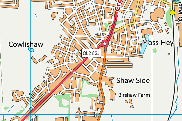 OL2 8SJ map - OS VectorMap District (Ordnance Survey) OL2 8SJ map - OS VectorMap District (Ordnance Survey)