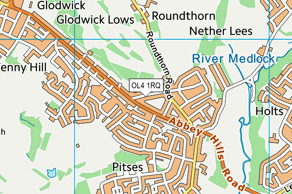 OL4 1RQ map - OS VectorMap District (Ordnance Survey)