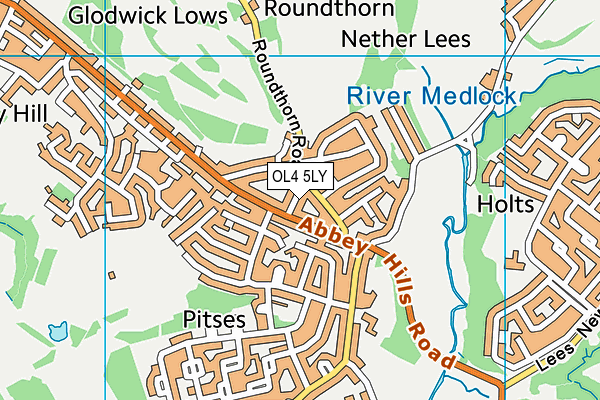 OL4 5LY map - OS VectorMap District (Ordnance Survey) OL4 5LY map - OS VectorMap District (Ordnance Survey)