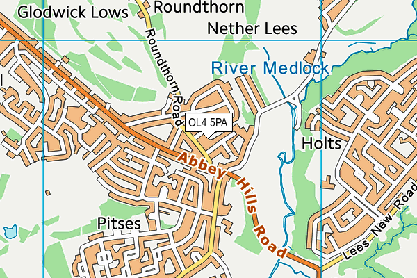 OL4 5PA map - OS VectorMap District (Ordnance Survey) OL4 5PA map - OS VectorMap District (Ordnance Survey)