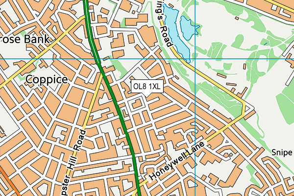 OL8 1XL map - OS VectorMap District (Ordnance Survey) OL8 1XL map - OS VectorMap District (Ordnance Survey)
