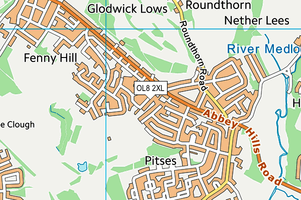 OL8 2XL map - OS VectorMap District (Ordnance Survey) OL8 2XL map - OS VectorMap District (Ordnance Survey)