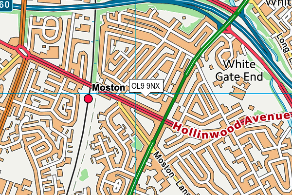 OL9 9NX map - OS VectorMap District (Ordnance Survey) OL9 9NX map - OS VectorMap District (Ordnance Survey)