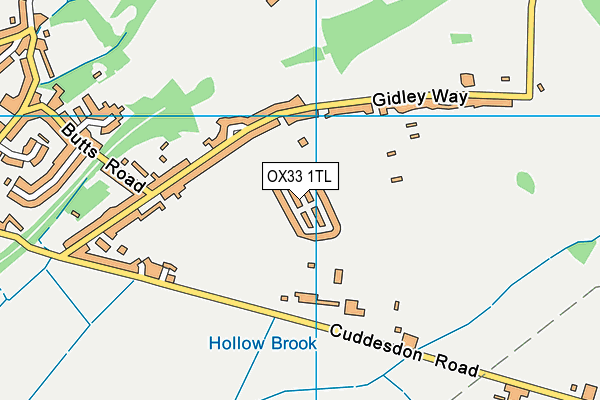 OX33 1TL map - OS VectorMap District (Ordnance Survey) OX33 1TL map - OS VectorMap District (Ordnance Survey)