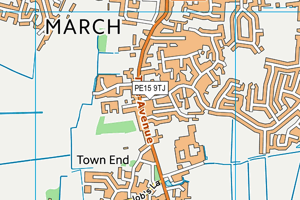 PE15 9TJ map - OS VectorMap District (Ordnance Survey)