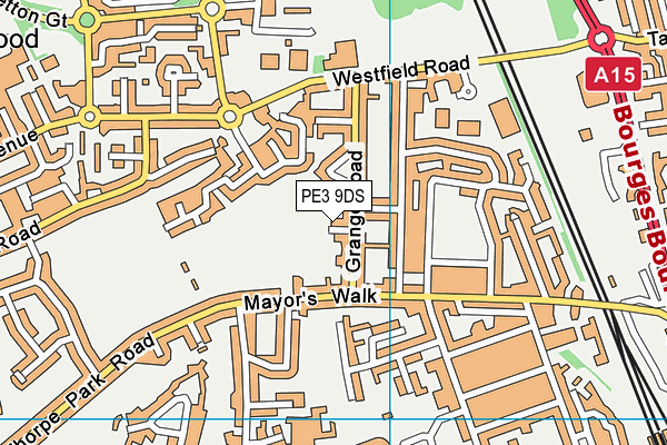 PE3 9DS map - OS VectorMap District (Ordnance Survey) PE3 9DS map - OS VectorMap District (Ordnance Survey)