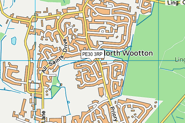 PE30 3RP map - OS VectorMap District (Ordnance Survey) PE30 3RP map - OS VectorMap District (Ordnance Survey)