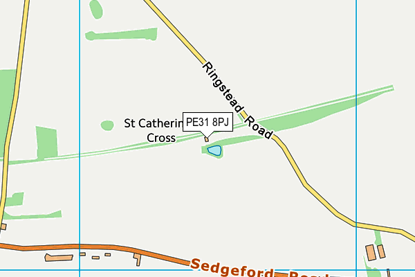 PE31 8PJ map - OS VectorMap District (Ordnance Survey)