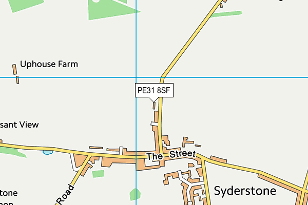 PE31 8SF map - OS VectorMap District (Ordnance Survey) PE31 8SF map - OS VectorMap District (Ordnance Survey)