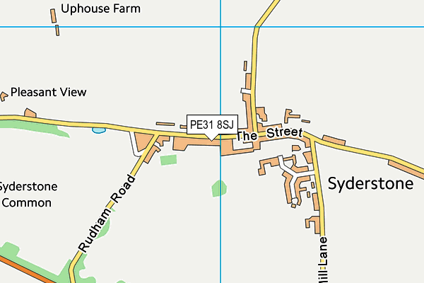 PE31 8SJ map - OS VectorMap District (Ordnance Survey) PE31 8SJ map - OS VectorMap District (Ordnance Survey)