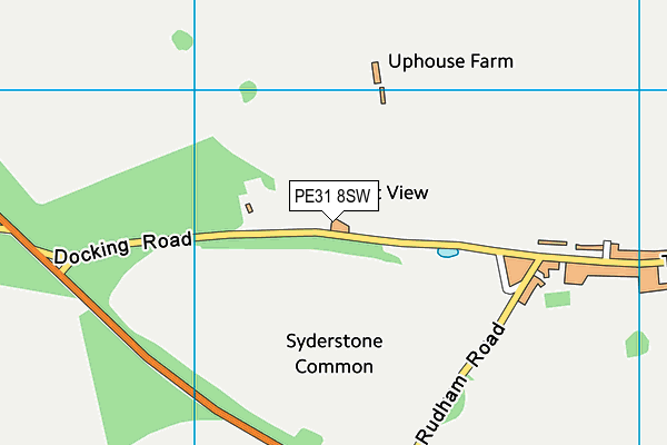 PE31 8SW map - OS VectorMap District (Ordnance Survey) PE31 8SW map - OS VectorMap District (Ordnance Survey)
