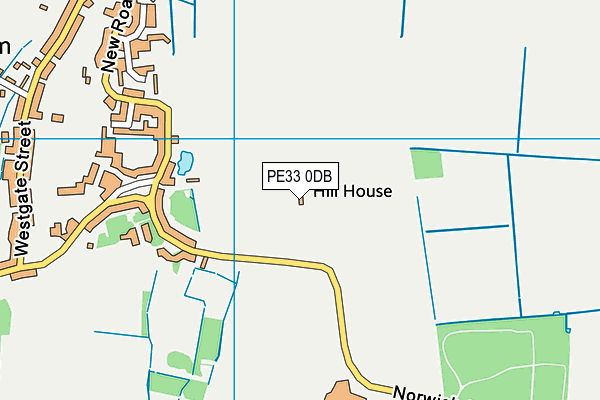 PE33 0DB map - OS VectorMap District (Ordnance Survey) PE33 0DB map - OS VectorMap District (Ordnance Survey)