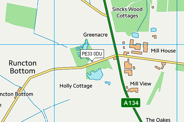 PE33 0DU map - OS VectorMap District (Ordnance Survey) PE33 0DU map - OS VectorMap District (Ordnance Survey)